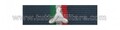 Nastrino Protezione Civile 2° Conferimento 2° Livello