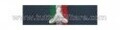 Nastrino Protezione Civile 2° Conferimento 2° Livello