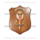 Crest NOCS