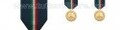 Medaglia d'Oro Protezione Civile I Livello