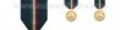 Medaglia d'Oro Protezione Civile I Livello