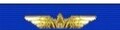 Nastrino Stato Maggiore Aeronautica Militare