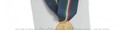 Medaglia Protezione Civile da Labaro o Stendardo Associativo