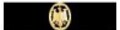 Nastrino Brevetto LAZ Oro