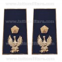 Gradi Metallo Vice Ispettore Polizia di Stato