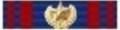 Nastrino Valore Aeronautica Militare Oro con Fronde