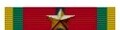 Nastrino Missione Albania GdF con Stella Bronzo